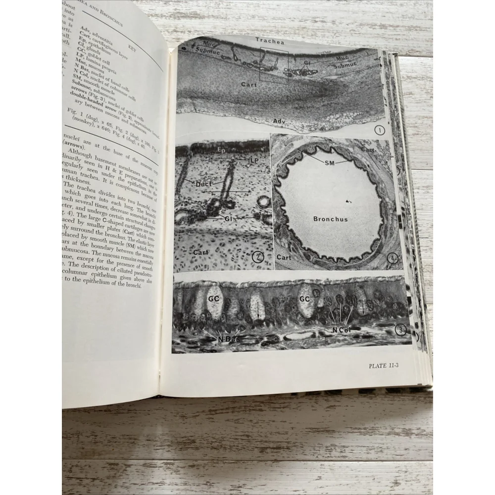 Vintage Histology Atlas 1970 Medical Textbook Hardcover Reith Ross 2nd Edition
